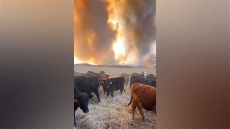 pampa news|texas panhandle fire.